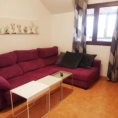 Cactus Apto 3 Dormitorios By Flamingo Apartment *