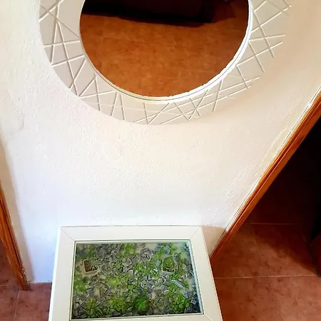 Cactus Apto 3 Dormitorios By Flamingo Apartment